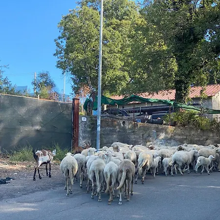 Sea View 2 Bedroom Vacation 公寓 贾迪尼-纳克索斯