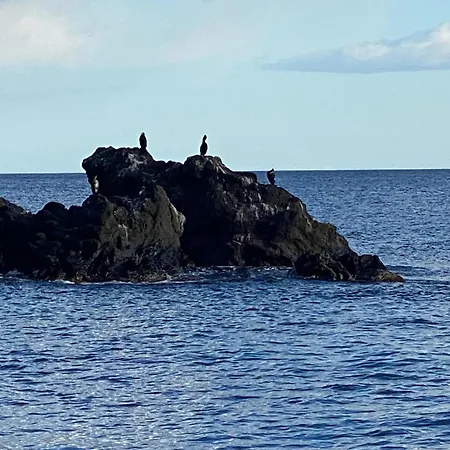 公寓 Sea View 2 Bedroom Vacation 贾迪尼-纳克索斯