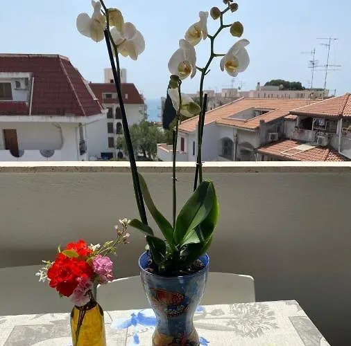 Sea View 2 Bedroom Vacation 贾迪尼-纳克索斯