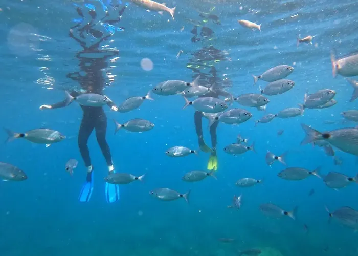 公寓 Sea View 2 Bedroom Vacation 贾迪尼-纳克索斯