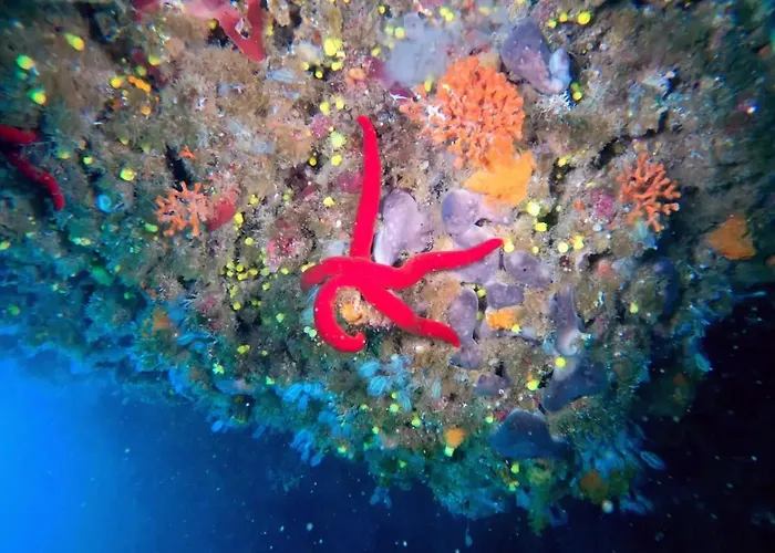 Sea View 2 Bedroom Vacation 公寓