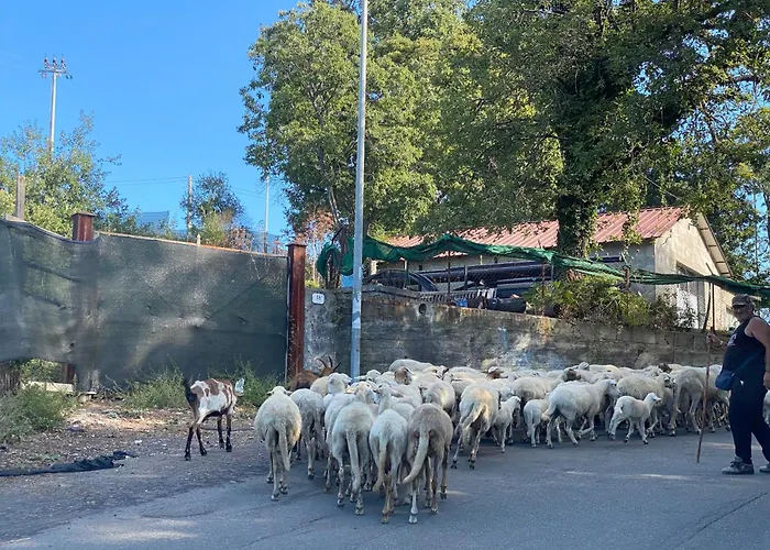 Sea View 2 Bedroom Vacation 公寓 贾迪尼-纳克索斯